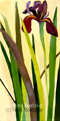 Iris 2 Iris 2