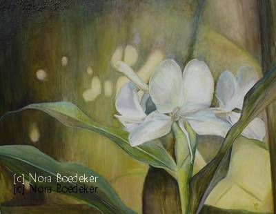 White Orchid White Orchid