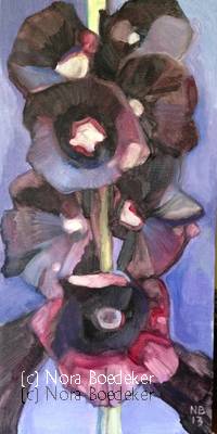 Black Hollyhock Black Hollyhock