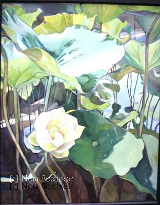 Lotus Lotus