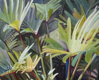 Philodendron leaves Philodendron leaves