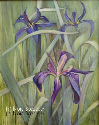 Three Iris Three Iris