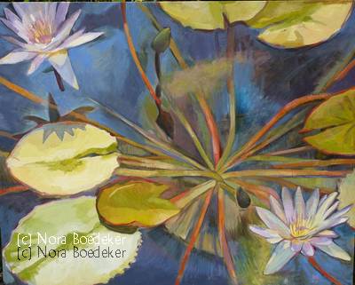 Water lily Water lily