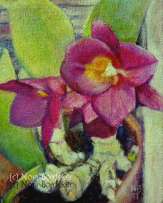 Magenta orchid Magenta orchid