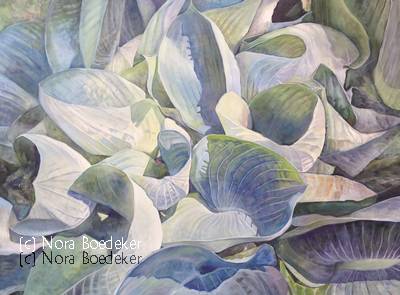 Hosta 2 Hosta 2