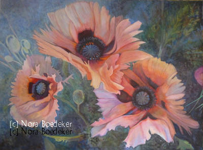 Poppies Poppies