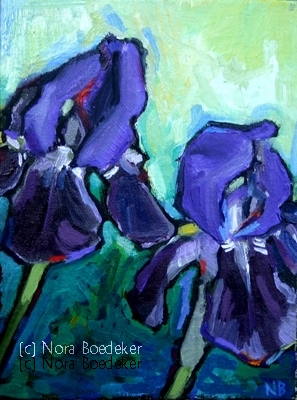 Purple Iris Purple Iris